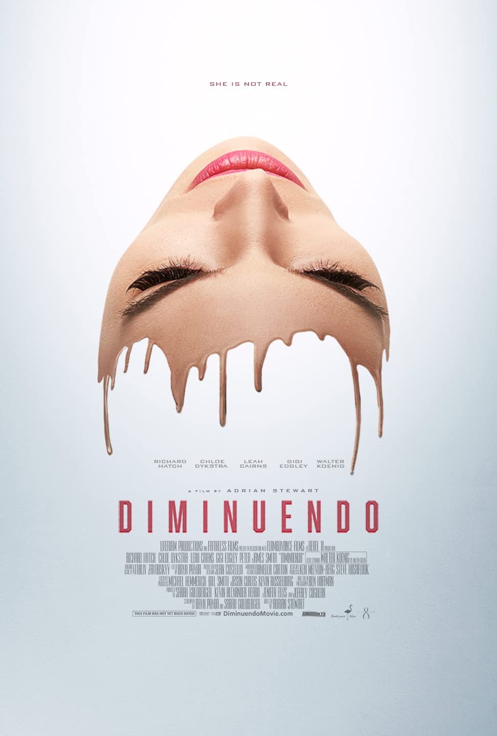 Diminuendo - (2018 movie) poster