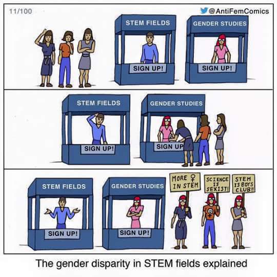 gender disparity in STEM fields explained